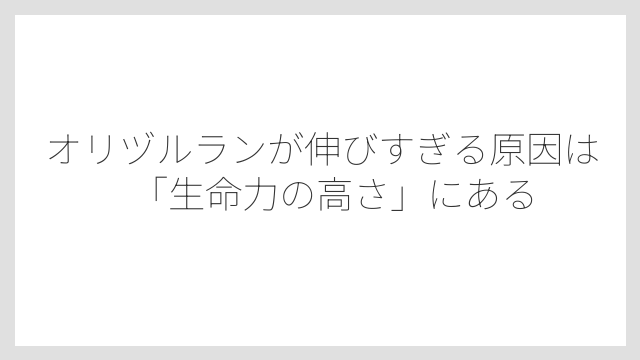オリヅルランが伸びすぎる原因は「生命力の高さ」にある