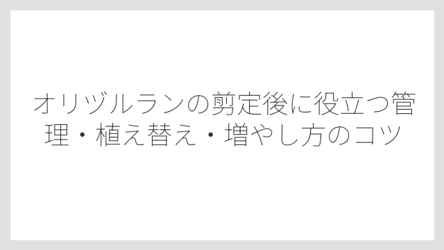 猛暑日の剪定は回復が遅れるので避けるのがベスト