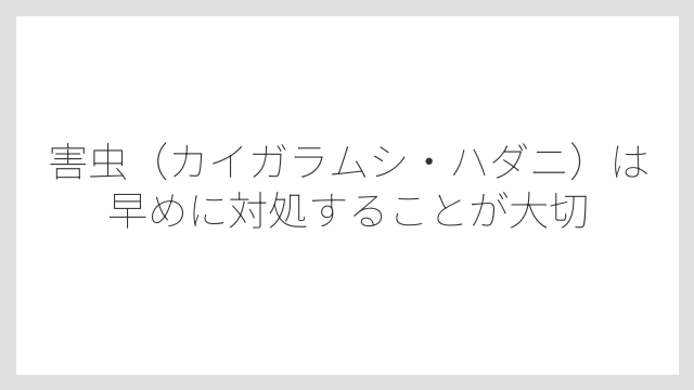 害虫（カイガラムシ・ハダニ）は早めに対処することが大切