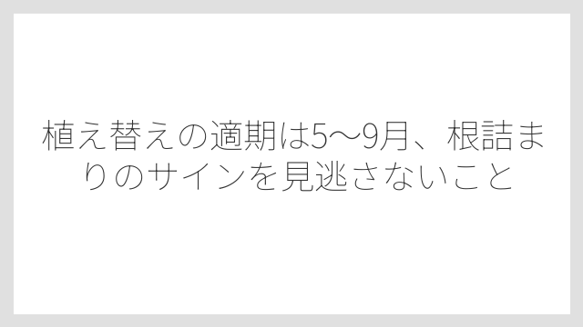 植え替えの適期は5〜9月、根詰まりのサインを見逃さないこと