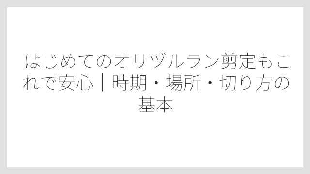 はじめてのオリヅルラン剪定もこれで安心｜時期・場所・切り方の基本