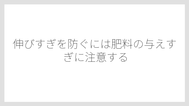 伸びすぎを防ぐには肥料の与えすぎに注意する