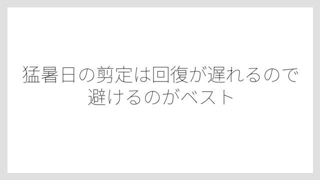 猛暑日の剪定は回復が遅れるので避けるのがベスト