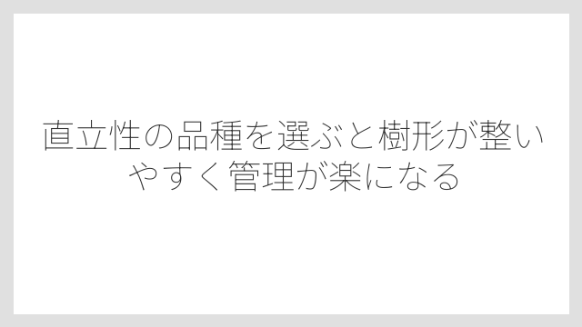直立性の品種を選ぶと樹形が整いやすく管理が楽になる