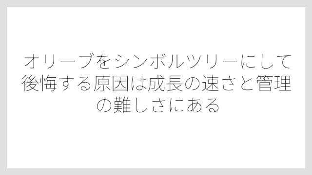 オリーブをシンボルツリーにして後悔する原因は成長の速さと管理の難しさにある