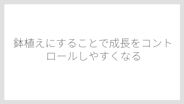 鉢植えにすることで成長をコントロールしやすくなる