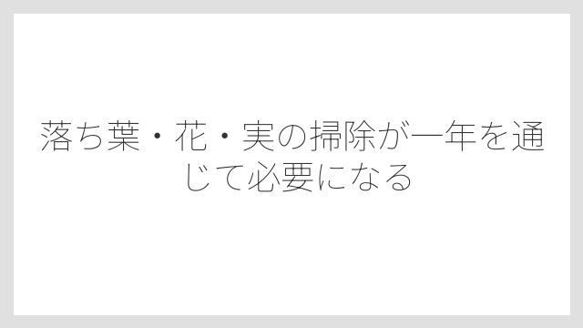 落ち葉・花・実の掃除が一年を通じて必要になる