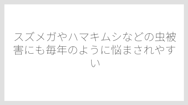 スズメガやハマキムシなどの虫被害にも毎年のように悩まされやすい