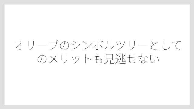 オリーブのシンボルツリーとしてのメリットも見逃せない