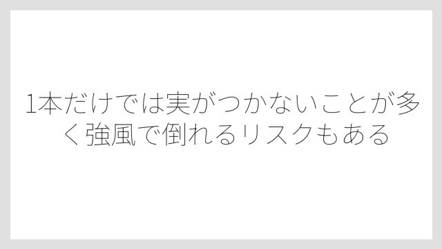 1本だけでは実がつかないことが多く強風で倒れるリスクもある