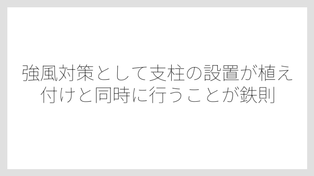 強風対策として支柱の設置が植え付けと同時に行うことが鉄則