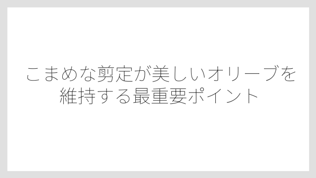 こまめな剪定が美しいオリーブを維持する最重要ポイント