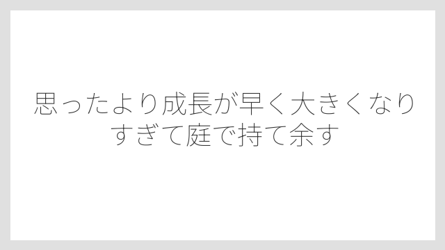思ったより成長が早く大きくなりすぎて庭で持て余す