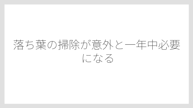 落ち葉の掃除が意外と一年中必要になる