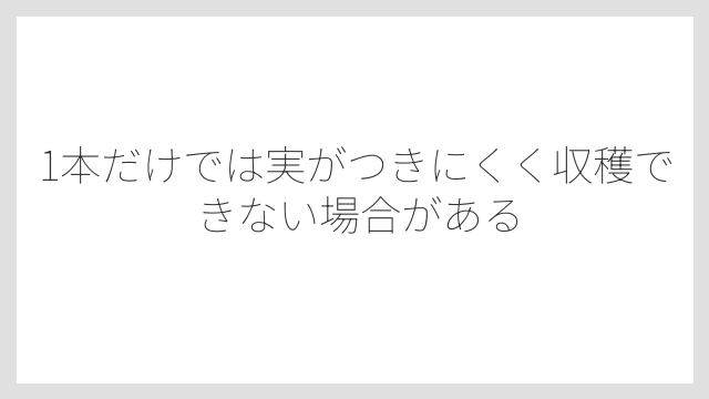 1本だけでは実がつきにくく収穫できない場合がある