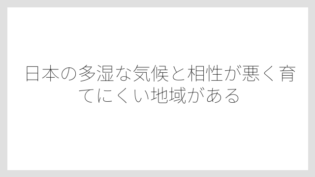 日本の多湿な気候と相性が悪く育てにくい地域がある