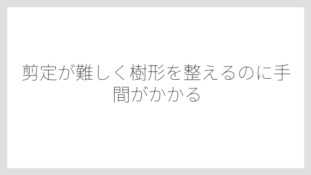 剪定が難しく樹形を整えるのに手間がかかる