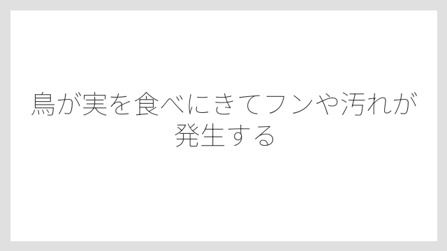 鳥が実を食べにきてフンや汚れが発生する