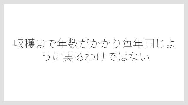 収穫まで年数がかかり毎年同じように実るわけではない