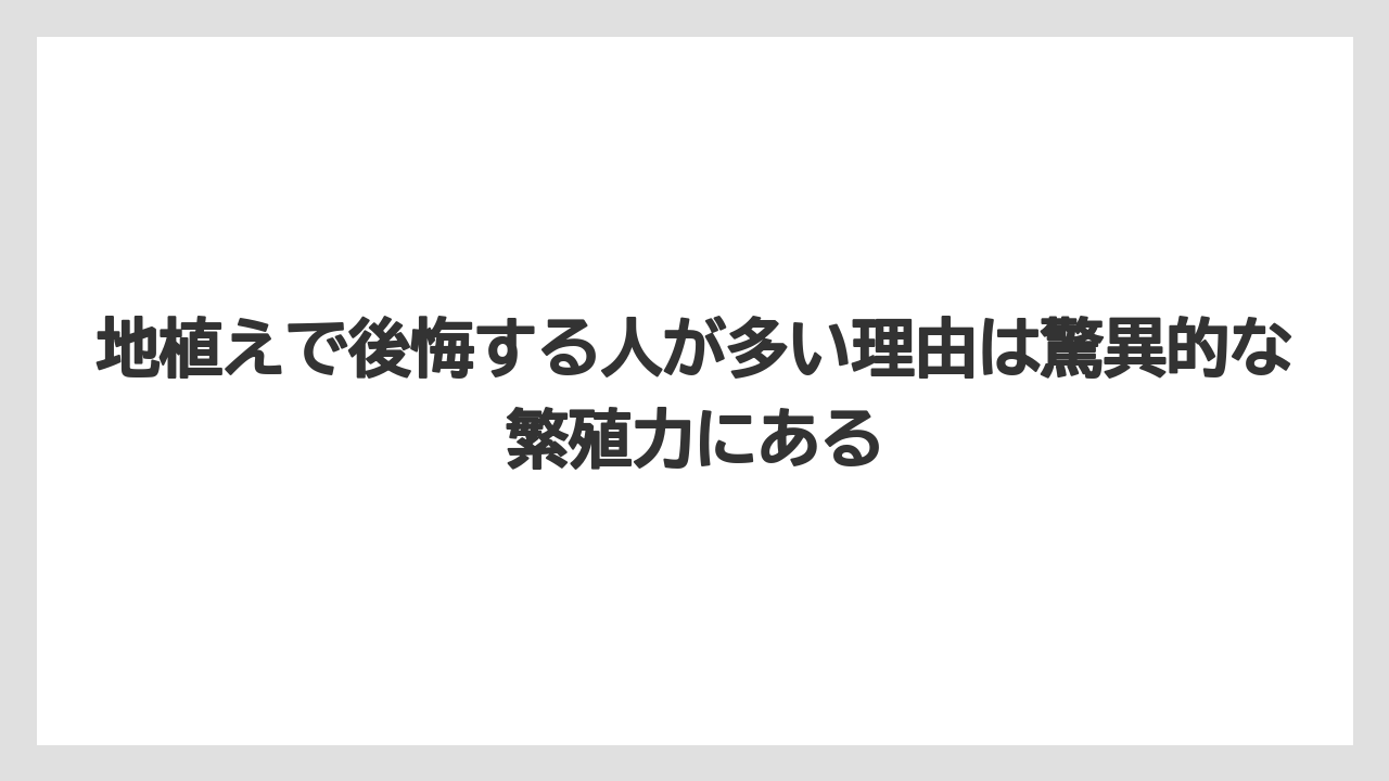 【バラ】【栽培】【農業】地植えで後悔する人が多い理由は驚異的な繁殖力にある