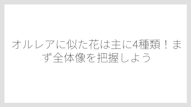 オルレアに似た花は主に4種類！まず全体像を把握しよう