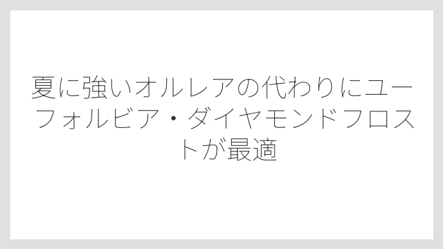 夏に強いオルレアの代わりにユーフォルビア・ダイヤモンドフロストが最適