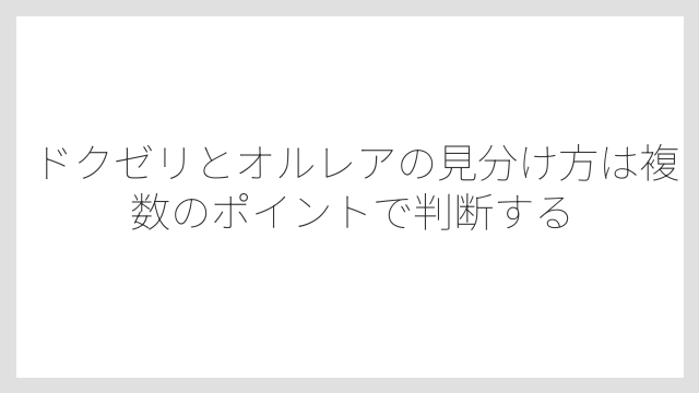 ドクゼリとオルレアの見分け方は複数のポイントで判断する