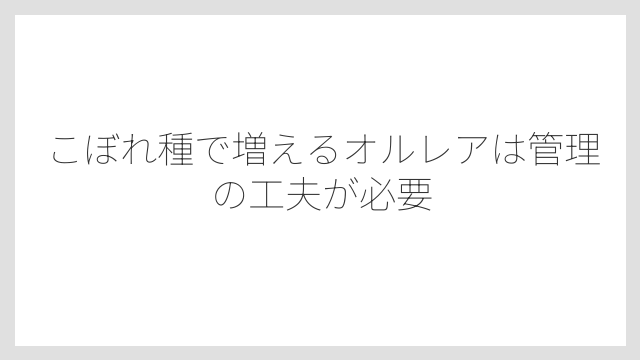 こぼれ種で増えるオルレアは管理の工夫が必要