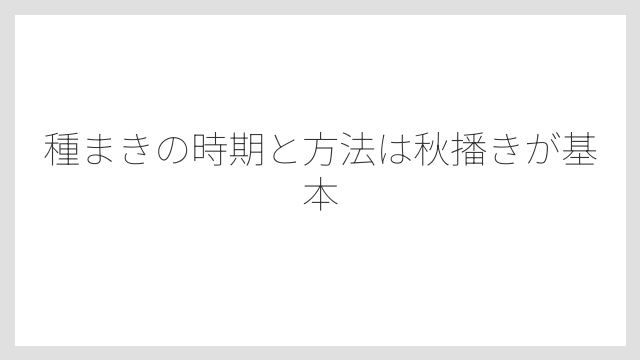 種まきの時期と方法は秋播きが基本