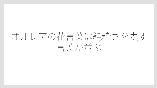 オルレアの花言葉は純粋さを表す言葉が並ぶ