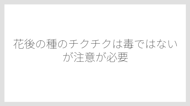 花後の種のチクチクは毒ではないが注意が必要