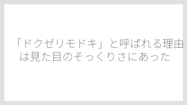 「ドクゼリモドキ」と呼ばれる理由は見た目のそっくりさにあった