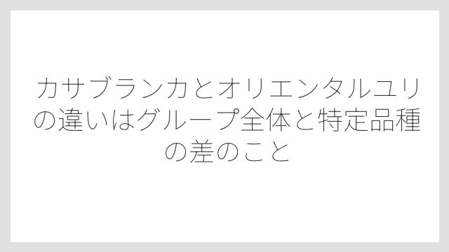 カサブランカとオリエンタルユリの違いはグループ全体と特定品種の差のこと