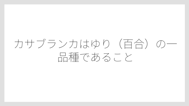 カサブランカはゆり（百合）の一品種であること