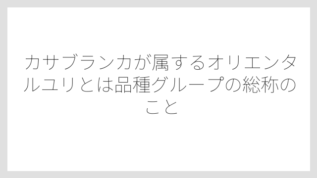 カサブランカが属するオリエンタルユリとは品種グループの総称のこと