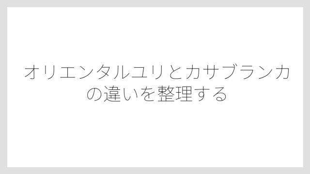 オリエンタルユリとカサブランカの違いを整理する
