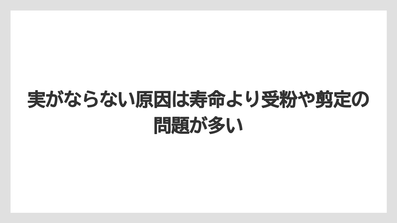 【栽培】【肥料】【農園】【農業】実がならない原因は寿命より受粉や剪定の問題が多い