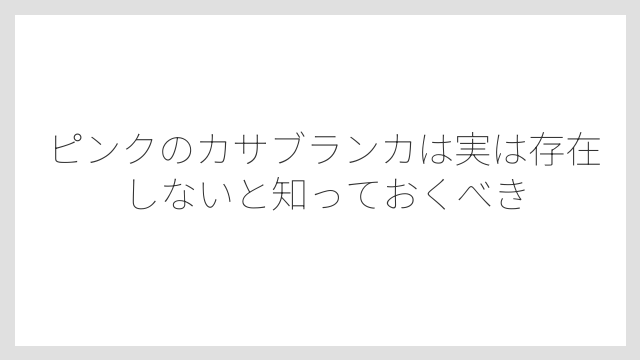 ピンクのカサブランカは実は存在しないと知っておくべき
