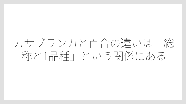カサブランカと百合の違いは「総称と1品種」という関係にある