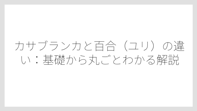 カサブランカと百合（ユリ）の違い：基礎から丸ごとわかる解説