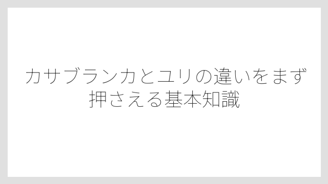 カサブランカとユリの違いをまず押さえる基本知識