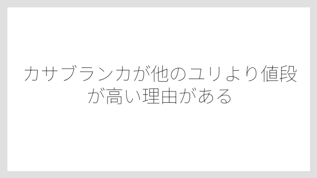 カサブランカが他のユリより値段が高い理由がある