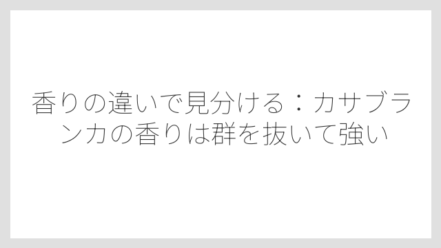 香りの違いで見分ける：カサブランカの香りは群を抜いて強い