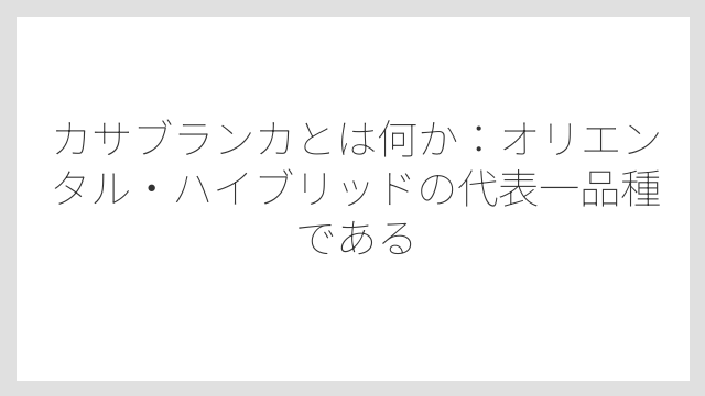 カサブランカとは何か：オリエンタル・ハイブリッドの代表一品種である