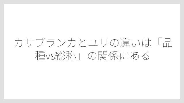 カサブランカとユリの違いは「品種vs総称」の関係にある