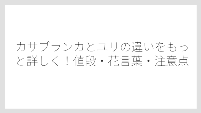 香りの違いで見分ける：カサブランカの香りは群を抜いて強い