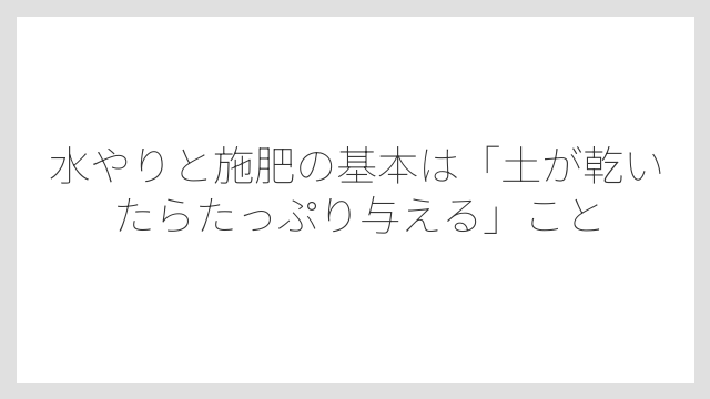 水やりと施肥の基本は「土が乾いたらたっぷり与える」こと