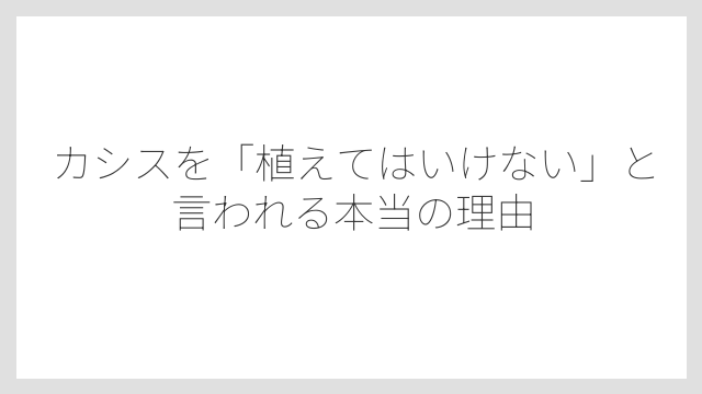 カシスを「植えてはいけない」と言われる本当の理由