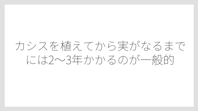 カシスを植えてから実がなるまでには2〜3年かかるのが一般的