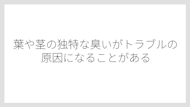 葉や茎の独特な臭いがトラブルの原因になることがある